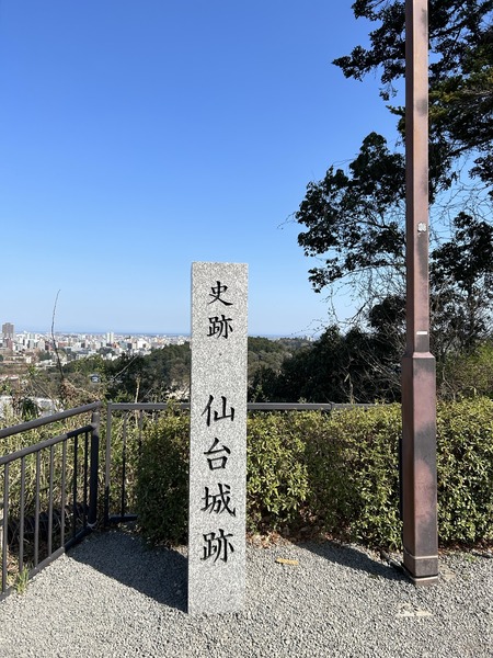 15331C39-542A-466D-A847-EFDBB14075BC