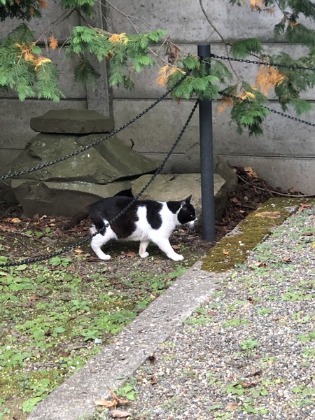 31910285-11FD-46B1-AC85-2140385EB38E