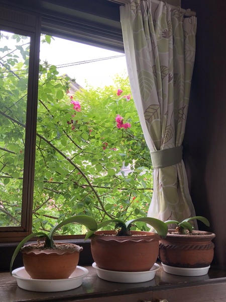 A3181312-ECFD-4552-A5FF-C14504F3E0B8