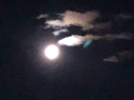 3CEDD3A4-3A94-446D-8306-7EDF3A0540A2