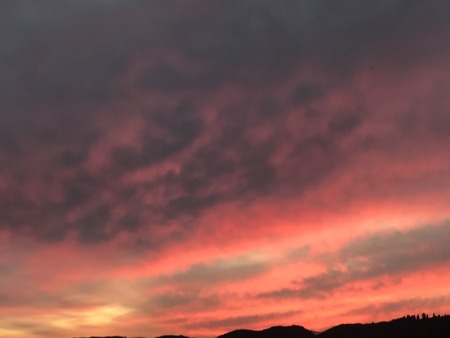 A095B711-AE89-4870-A711-1E37425324C5