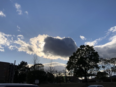 FF2551C1-8449-4842-843C-D750DF813A9C