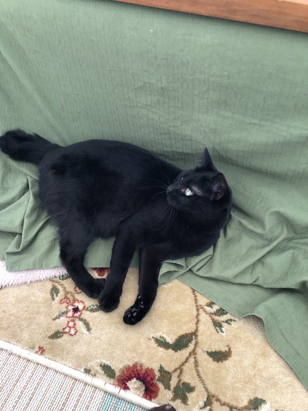 CEA1605D-21DE-467B-9CEE-D26FCF8BE710