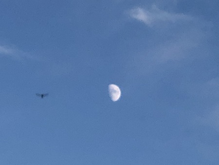 6DFEDFEF-6302-4064-8557-17725E54875F