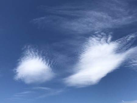 EBCF7514-E88A-4F2D-A57A-25BDA08C35A5