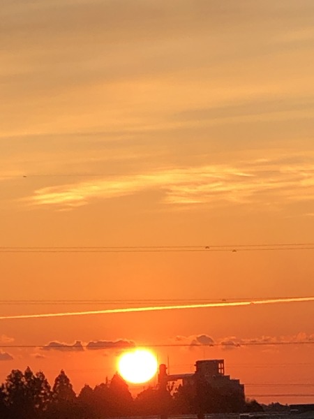 19D794D7-B317-4E13-A018-749530944524