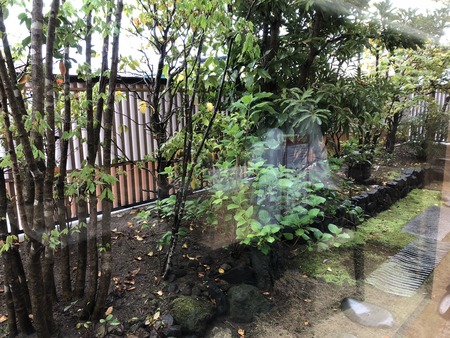 970E306D-E452-43B0-AB96-3274B470E516