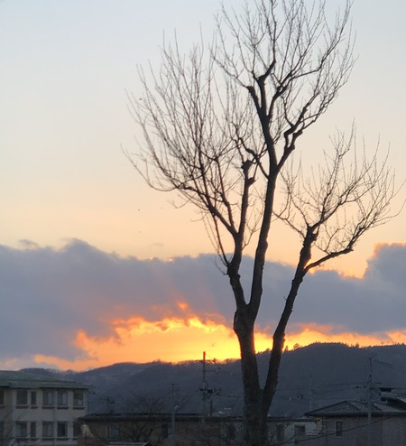 F921178E-C9AF-47DB-B1AC-7DC439D7889B