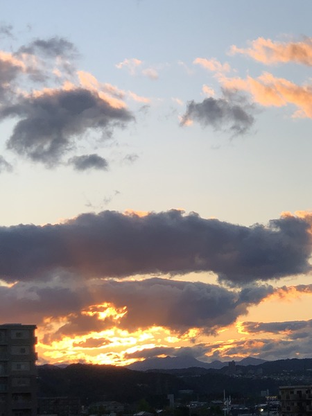 1EA6F60A-9BA4-4BB9-8634-76DC4059B23A