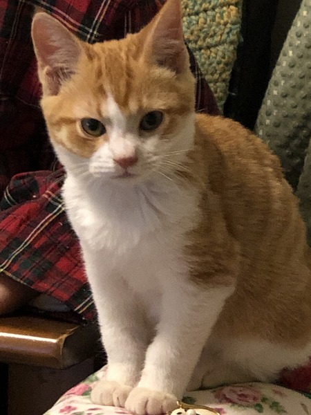 0942E2E4-5986-4004-A793-0E83B9793B62