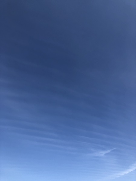 49AAF69D-15DF-4EDE-943D-8DB586E44470