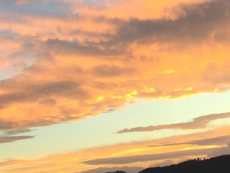 7B176806-3EB9-4700-9190-E80F88E3EC54