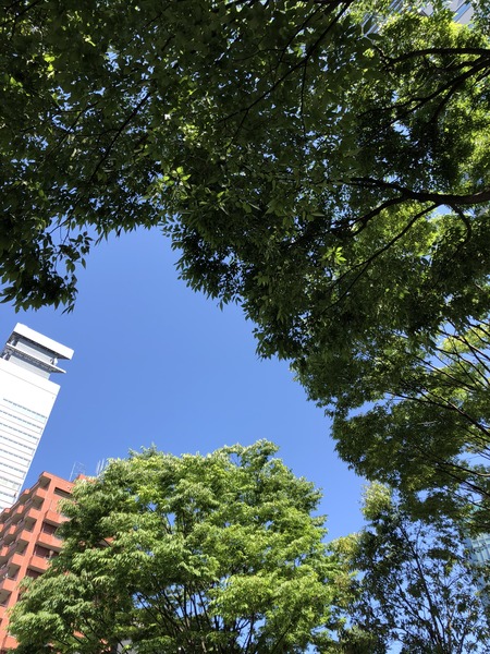 ADF14CD3-7562-48BE-94F1-CBED556CEA64