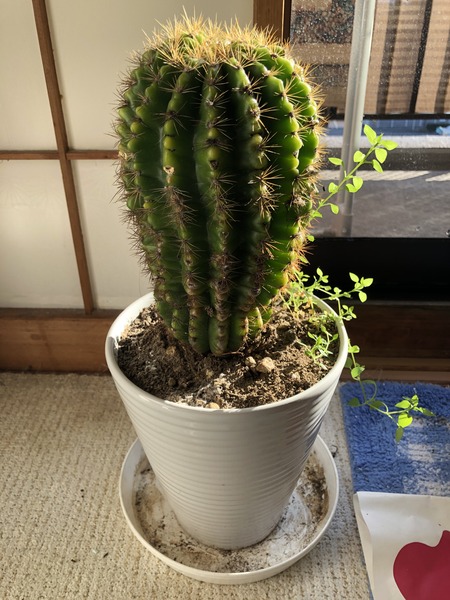 BE6D38D8-6A33-4A47-BDC7-D7346235AD02