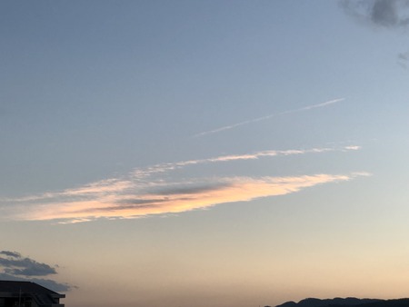 69FE4247-C5C4-4E16-AD9C-C9163FE7CD68