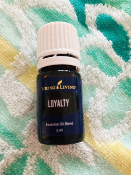 BC5E2391-8319-4B5E-B6CE-2DE9AC9F7818