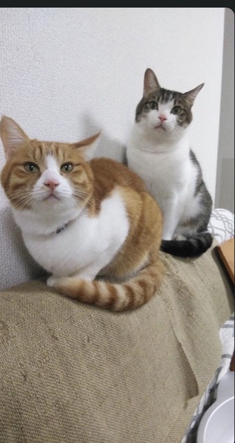 DFC935B0-99C7-4401-A5E9-895242DD084B