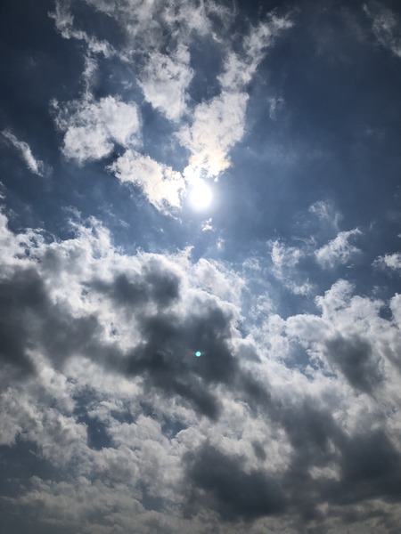 8DB62962-EF0B-4E22-B158-CE8DE5A44A8E