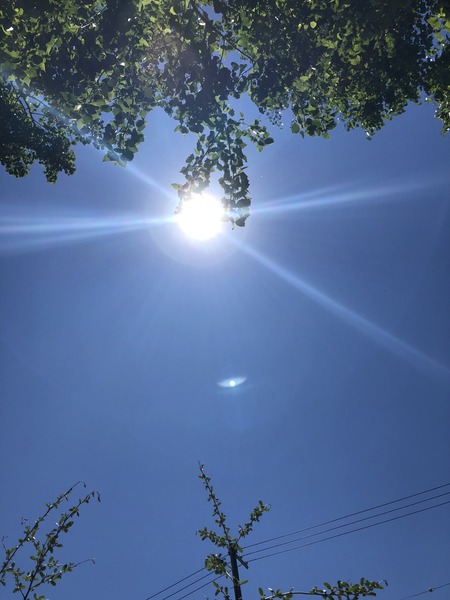 1832E872-7E2E-4D60-B284-5B1A421133BE