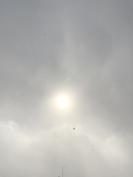 48F99068-49C9-43F5-A71A-D708D6C84483