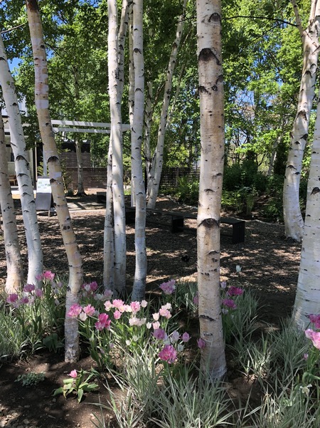 88D8BAA9-85FC-44F8-891B-ABBE44A15FBD