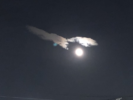 9E2ECC08-C07F-4533-8D0C-D06FFF94F31C