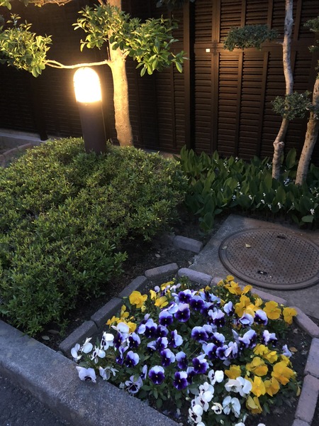 F8984B45-B8E6-4B21-A0A1-3457B5CA57CD