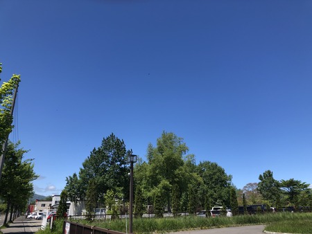 3560F12F-DC2F-4785-9168-EEDFBAF88069