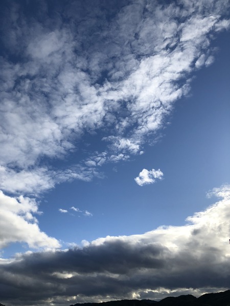 E99D5682-4DF3-4DE3-94FE-864847FB9DA5