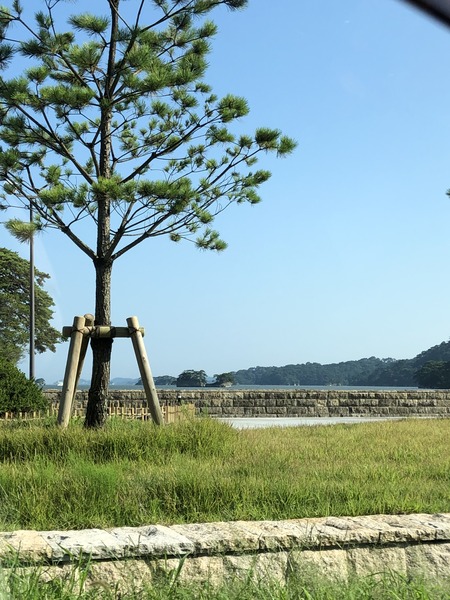 8C9382EF-B438-488B-9B51-C857472E9126