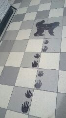 c9d814c6.jpg