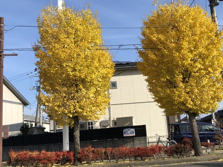 C3B66695-0035-4ADB-A77C-4725D9D9169F