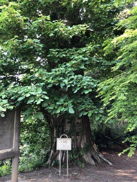 5B68B16E-FEE3-4045-BD96-B7A40886B002