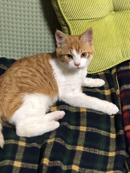 BB9402D6-3932-4752-BF74-68316627D968