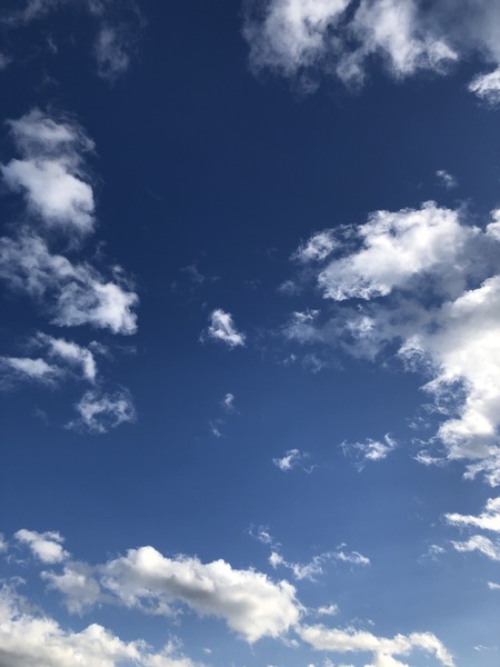 ABC353A1-EE54-434E-827D-C6AD812A8D15