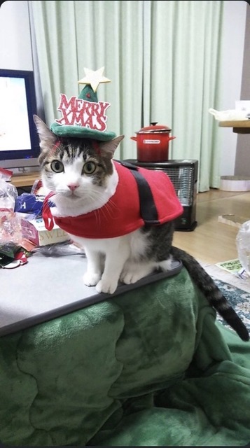 43296717-AC34-47A9-B0DA-73217F4BC0C3