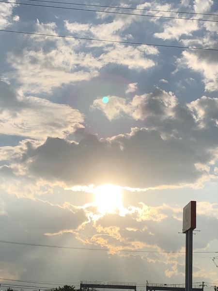 84F45B8C-19AD-41DA-823C-CD5F3FAF3E82