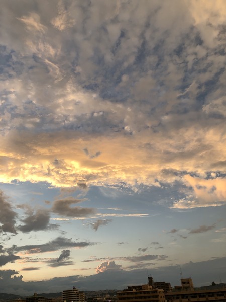 ACB5A056-8A58-46B5-8E45-07A77DEBE49B