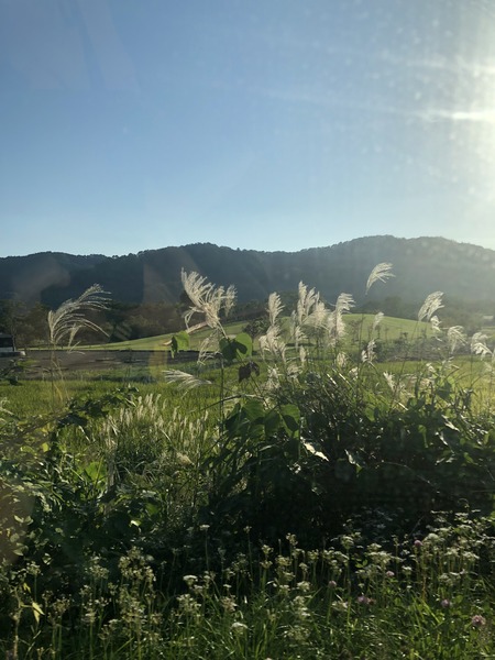 BEF29893-54D8-490E-827D-29725BA77B7B