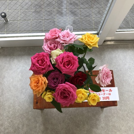 B6B502B6-A474-4C42-AA93-84EFA732C26C