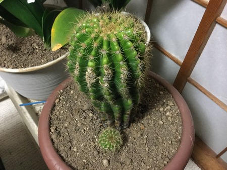 E5F1B699-41AB-4C58-9E27-C77881A66007