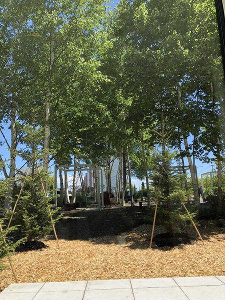 C01A67AE-C0A0-47BF-9E04-4FABB0C53269