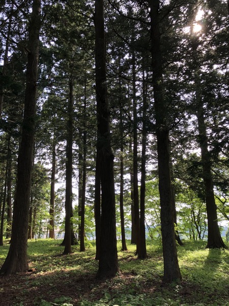 3074F117-19C5-4D3D-B03D-B51A34199CAE