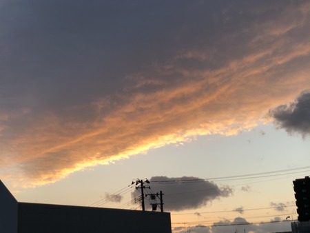 980CC4A9-B310-4538-BE42-E2DF6D932C2D