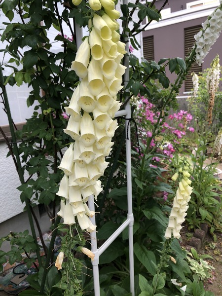 582AFB54-9974-402D-A869-2BB0519DBC8F