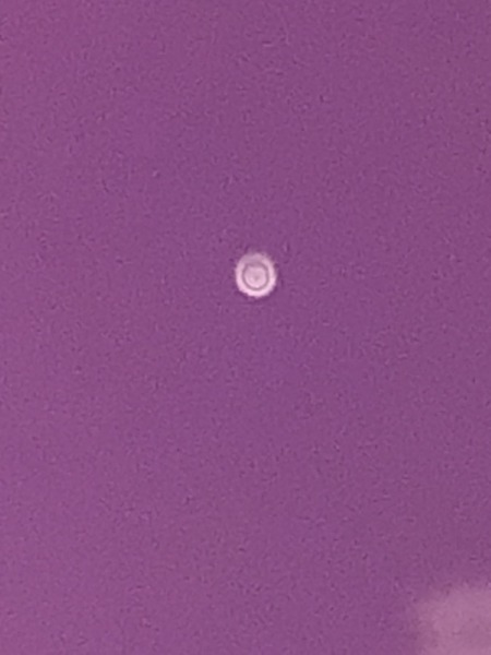 5F039D5B-773F-46B7-A66E-9D1267EA35A7