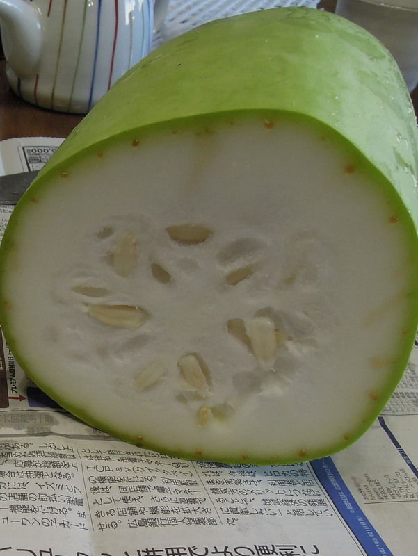 夕顔の実 パルの部屋