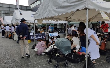 IMG_20230527_161408