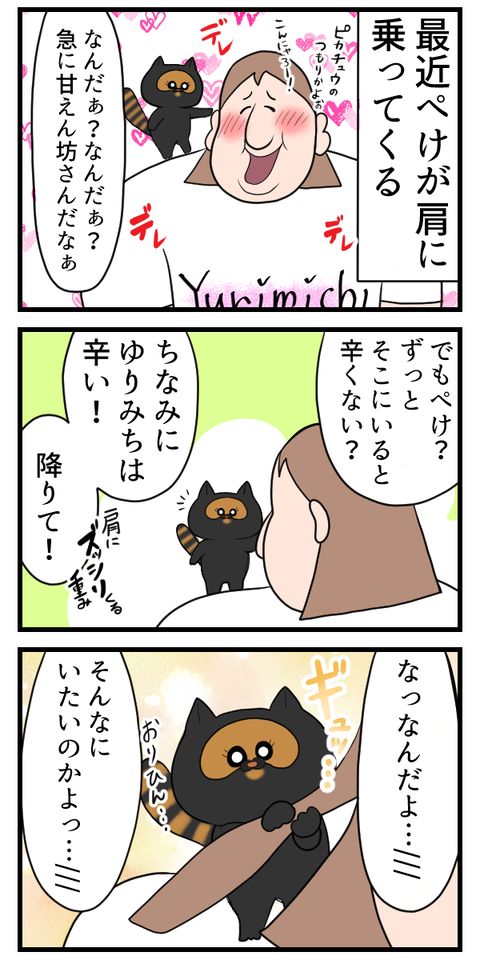 うちの猫が肩乗り猫に進化しそう