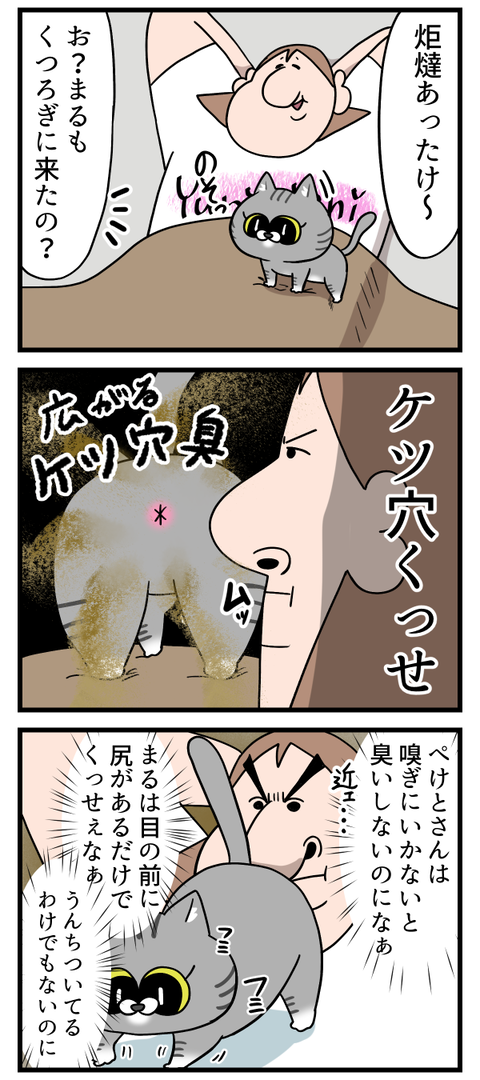 猫ちゃんでも口とお尻は臭いよに